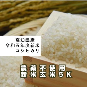 新米令和5年度　農薬不使用栽培コシヒカリ玄米5kg