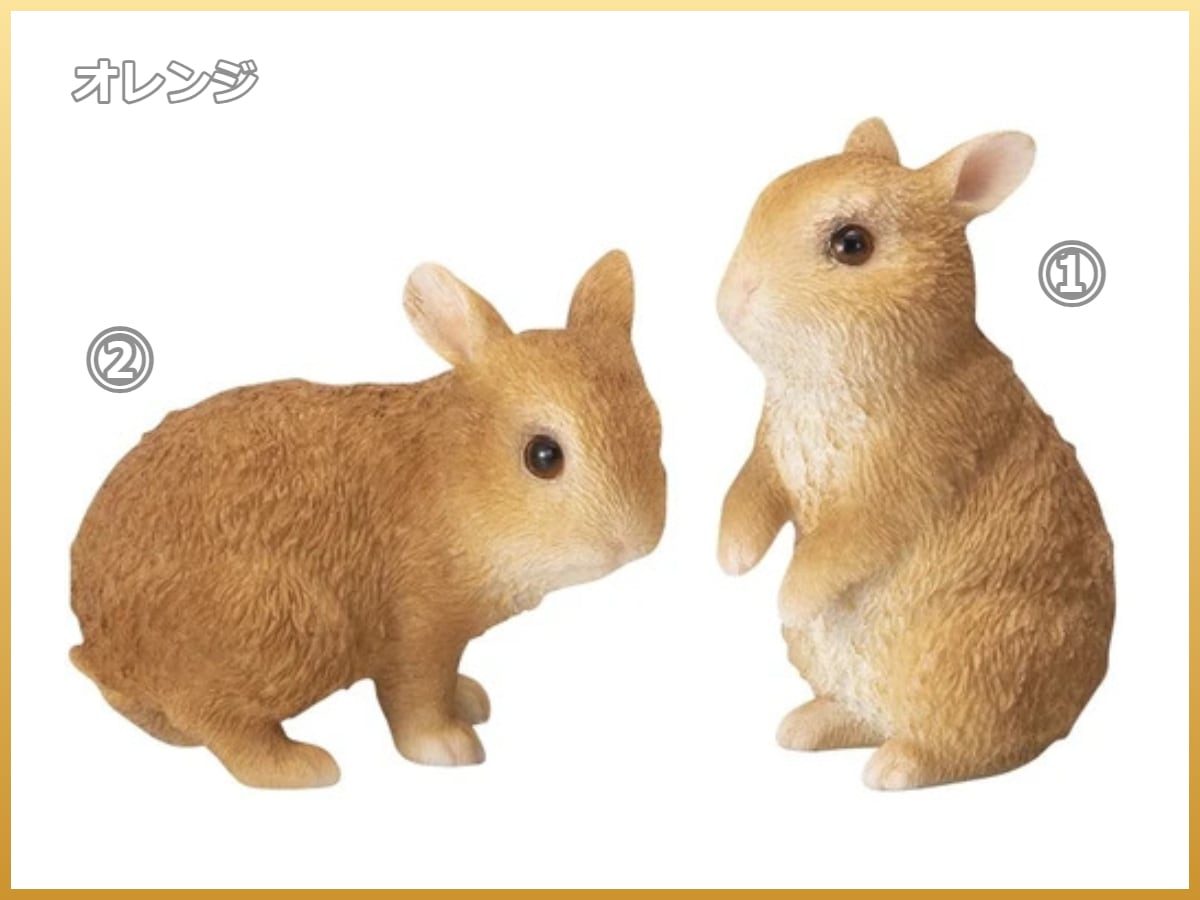 ラブリーうさぎS | うさぎセレクトショップ森音