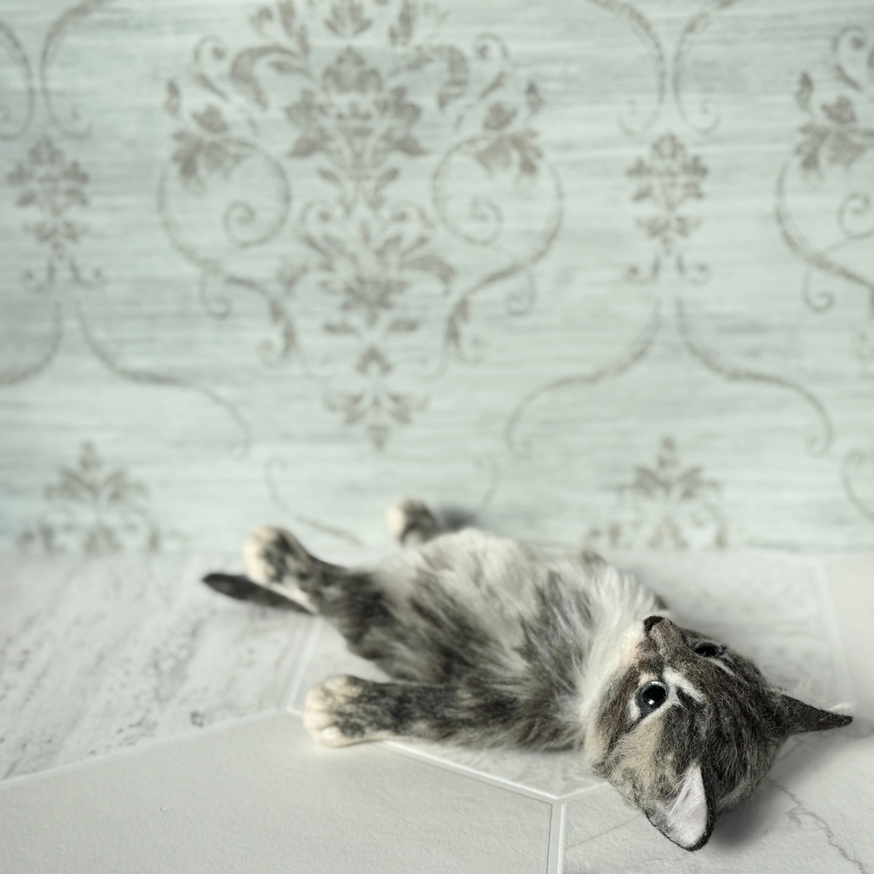 サバトラの仔ネコ 26F2SF 《にゃぴーし2026 猫の日キャンペーン商品