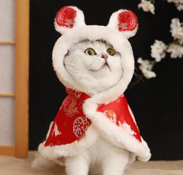 おすすめ☞《予約》1102021 新年うさちゃん羽織