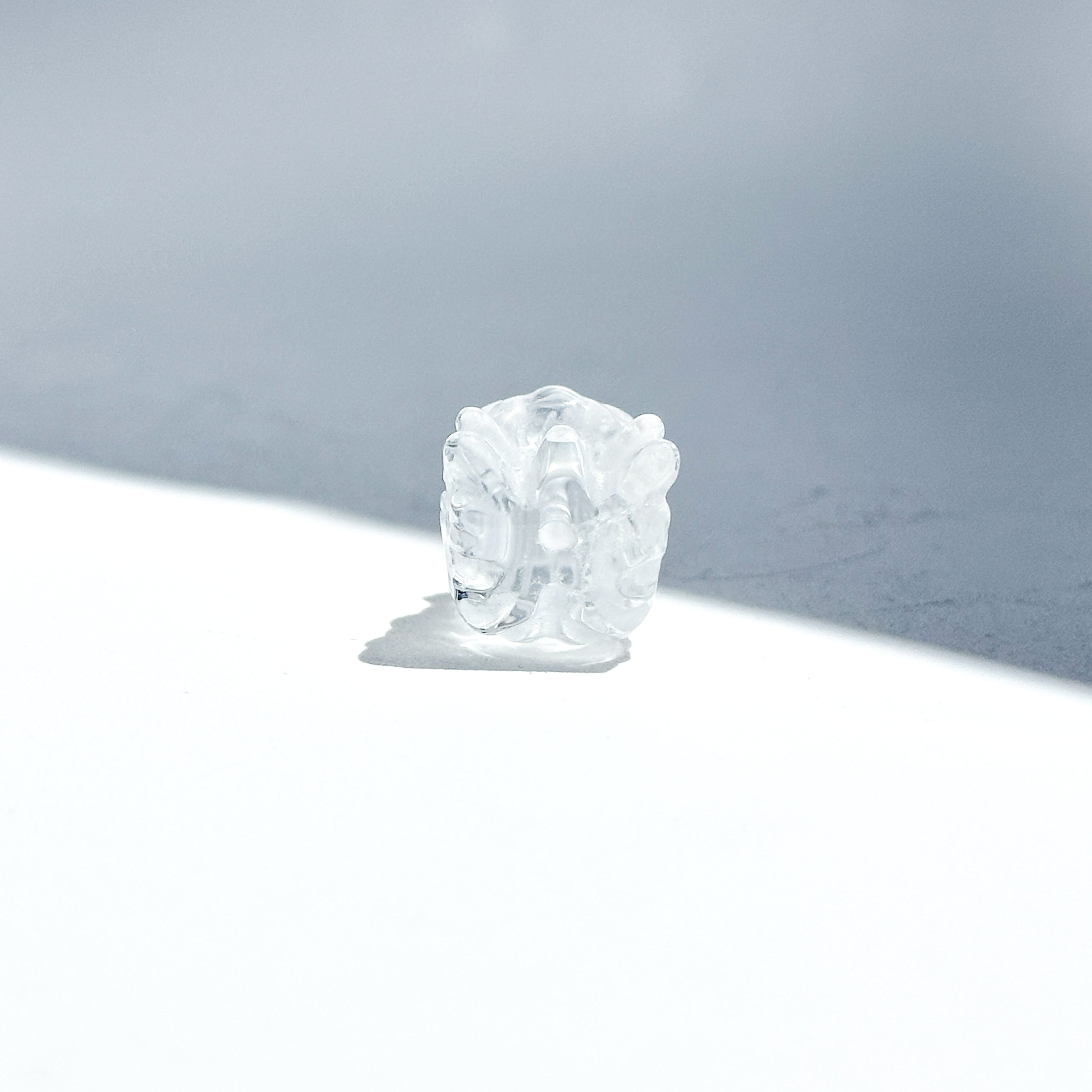 クリアクォーツ ミニドラゴンヘッド(穴あき)01◇ Clear Quartz Dragon