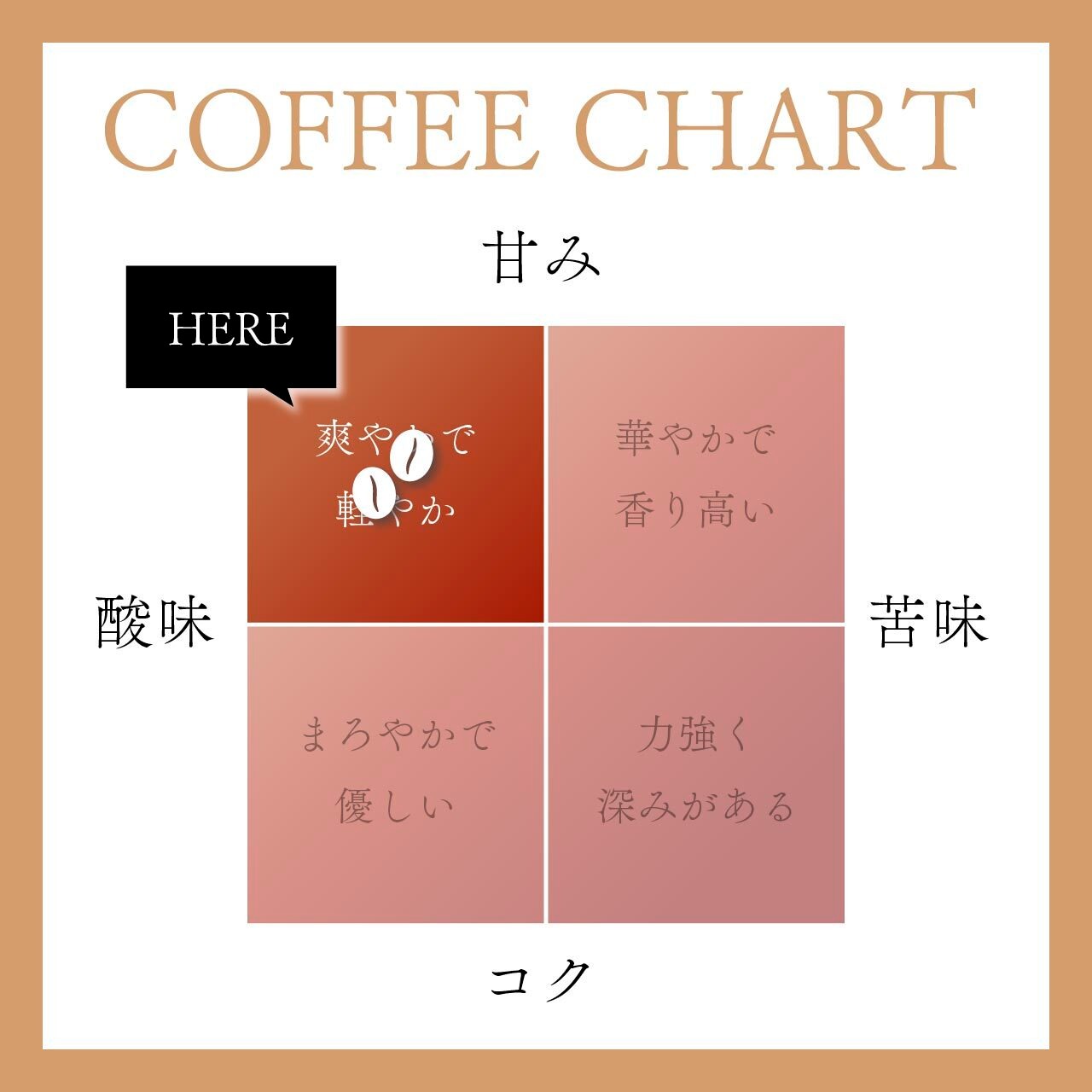 【浅～中煎り】イルガチェフ・モカ	100g