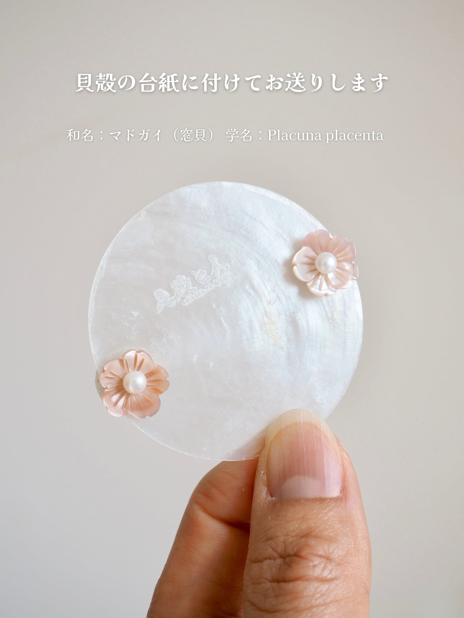 貝殻のサクラ “満貝”耳飾り（淡水真珠貝）両耳セット | 貝殻と人魚