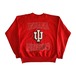 90's Hanes INDIANAHOOSIERS カレッジロゴス ウェット トレーナー L レッド　赤　メンズ　レディース 商品写真1