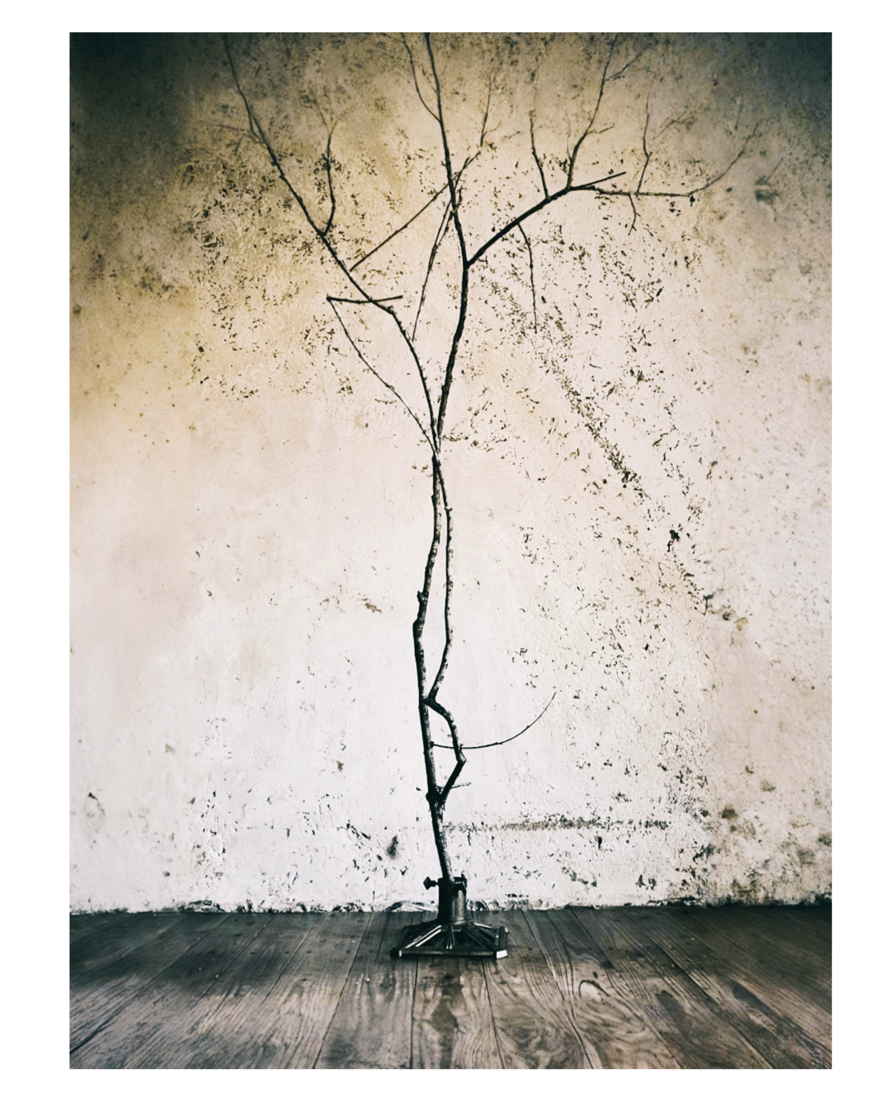 ドイツ アールデコ的 小鳥の止まり木 又は クリスマスツリースタンドb ヴィンテージ