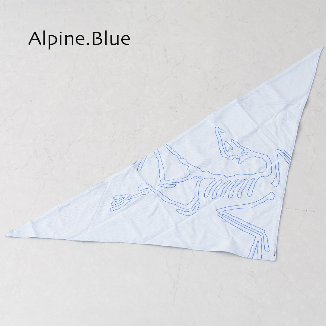 ARC'TERYX [アークテリクス正規代理店] Sinsolo Bandana [X000010184