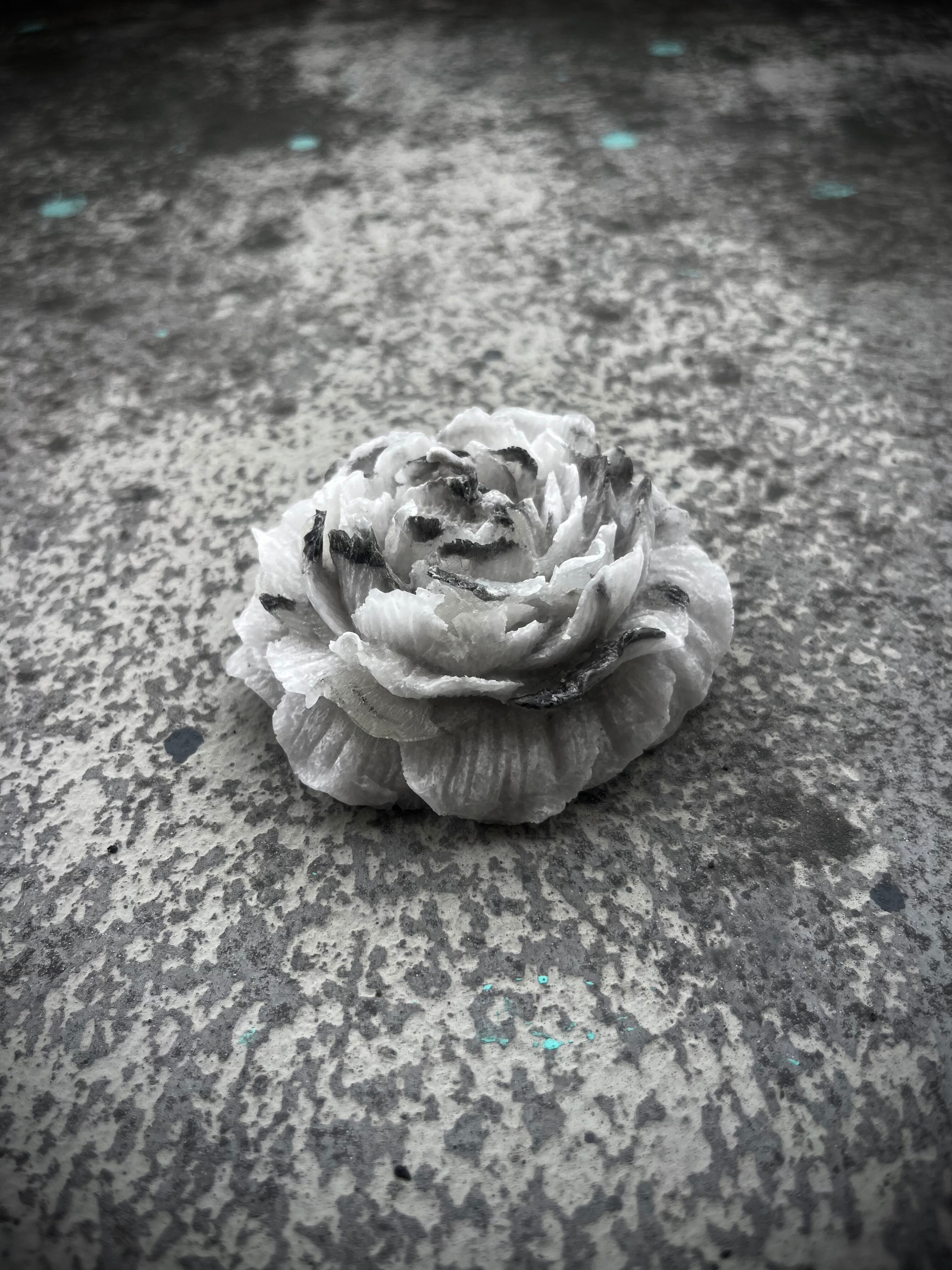CANDLE FLOREALE