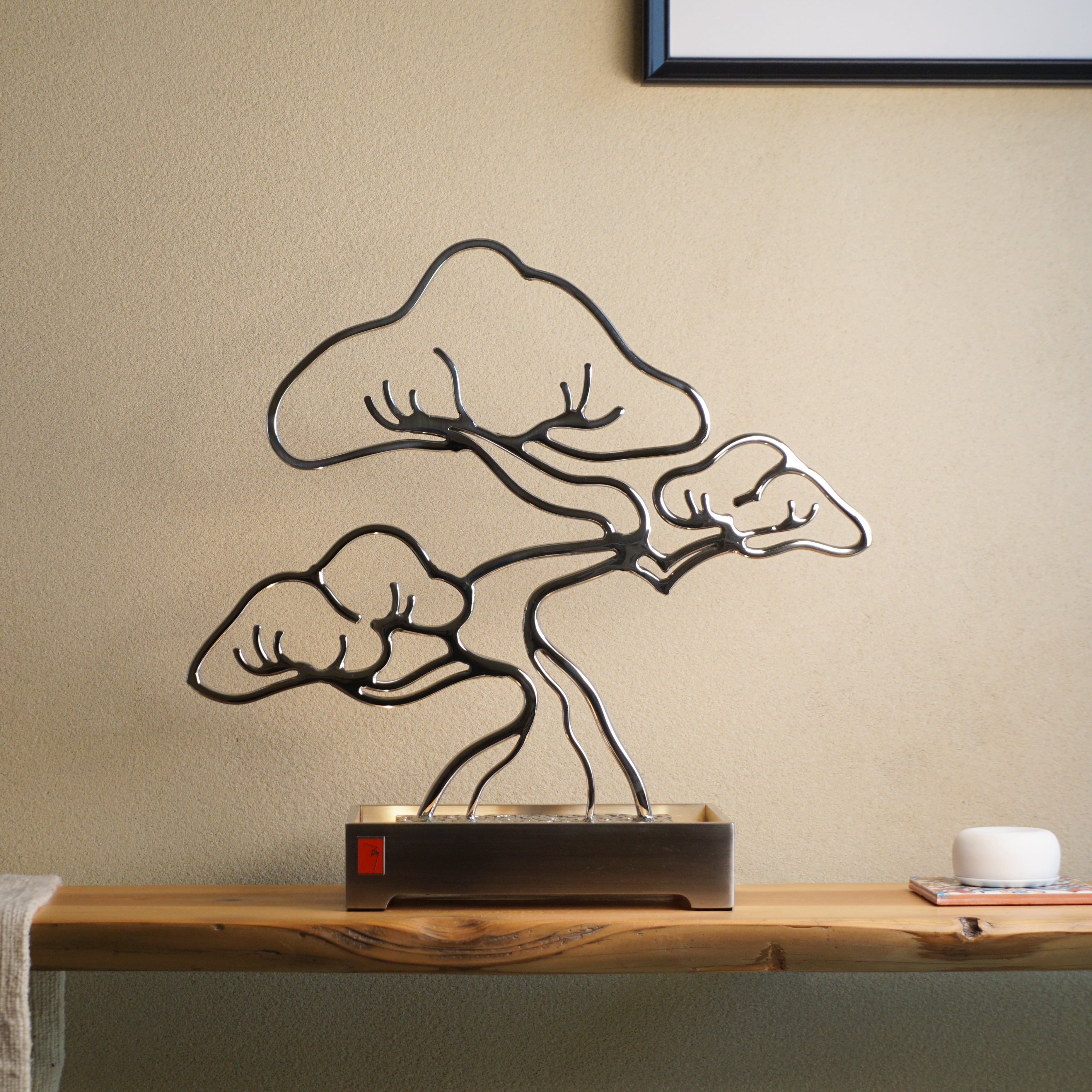 SHAKKEI Bonsai - Matsu