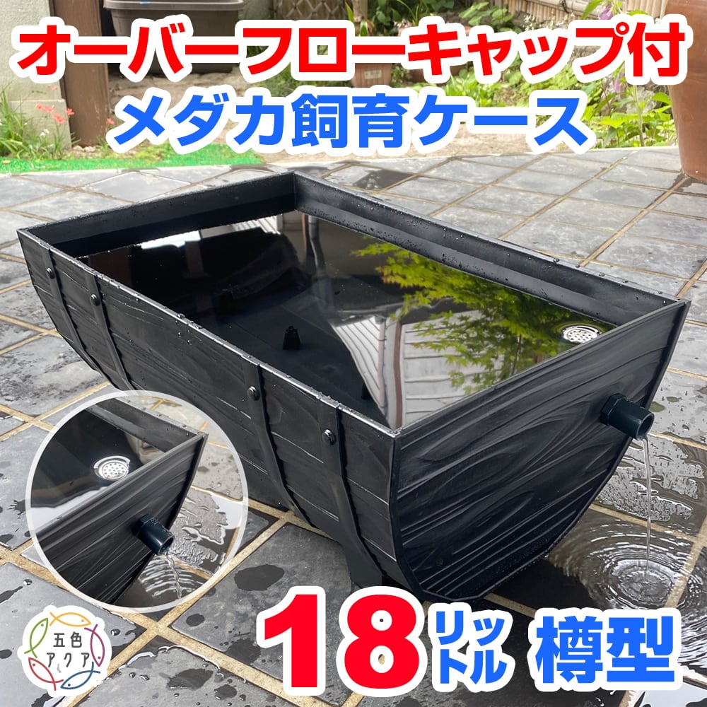 五色アクア BASE店