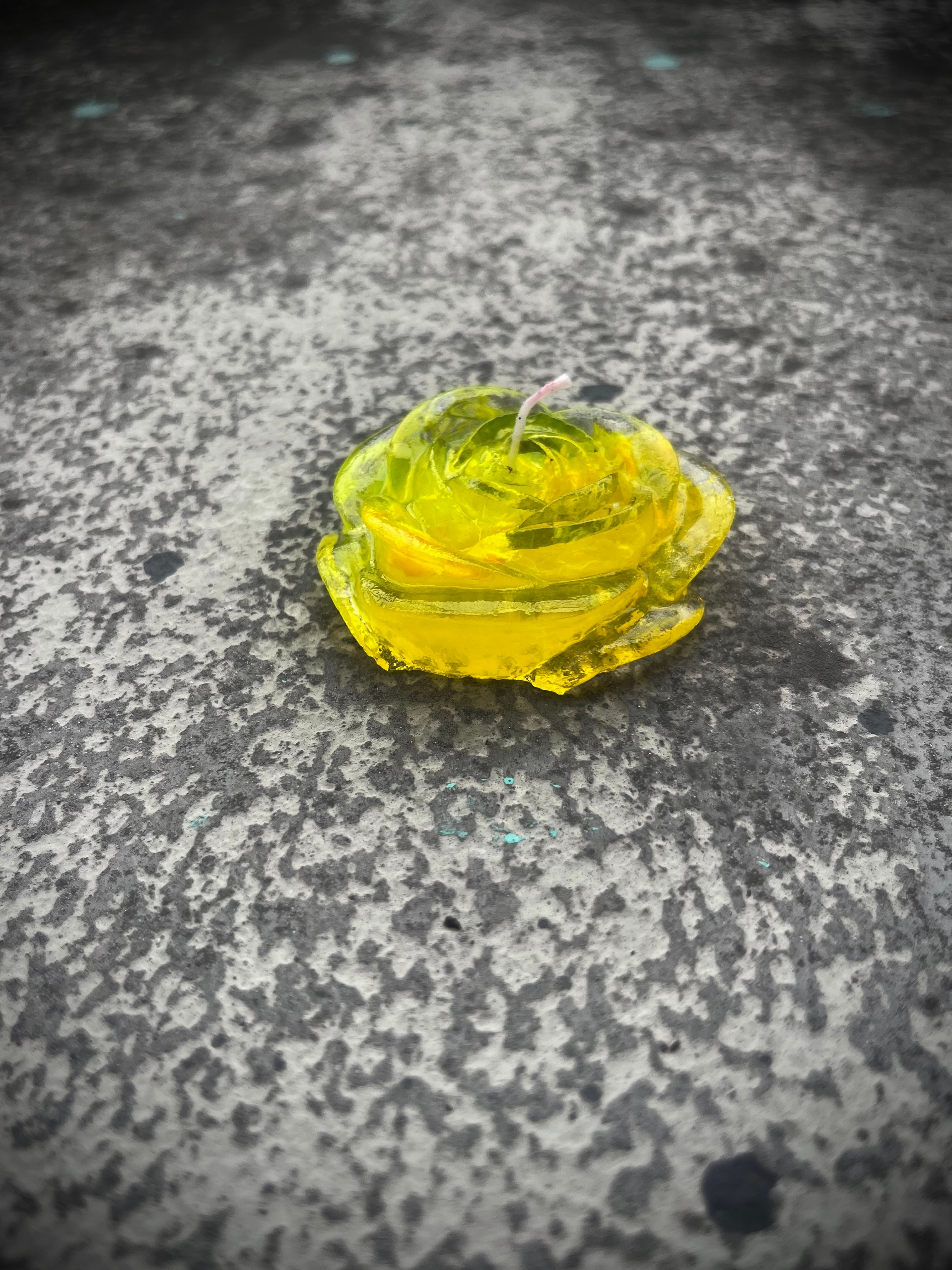 FIORE SULL'ACPUA CANDLE