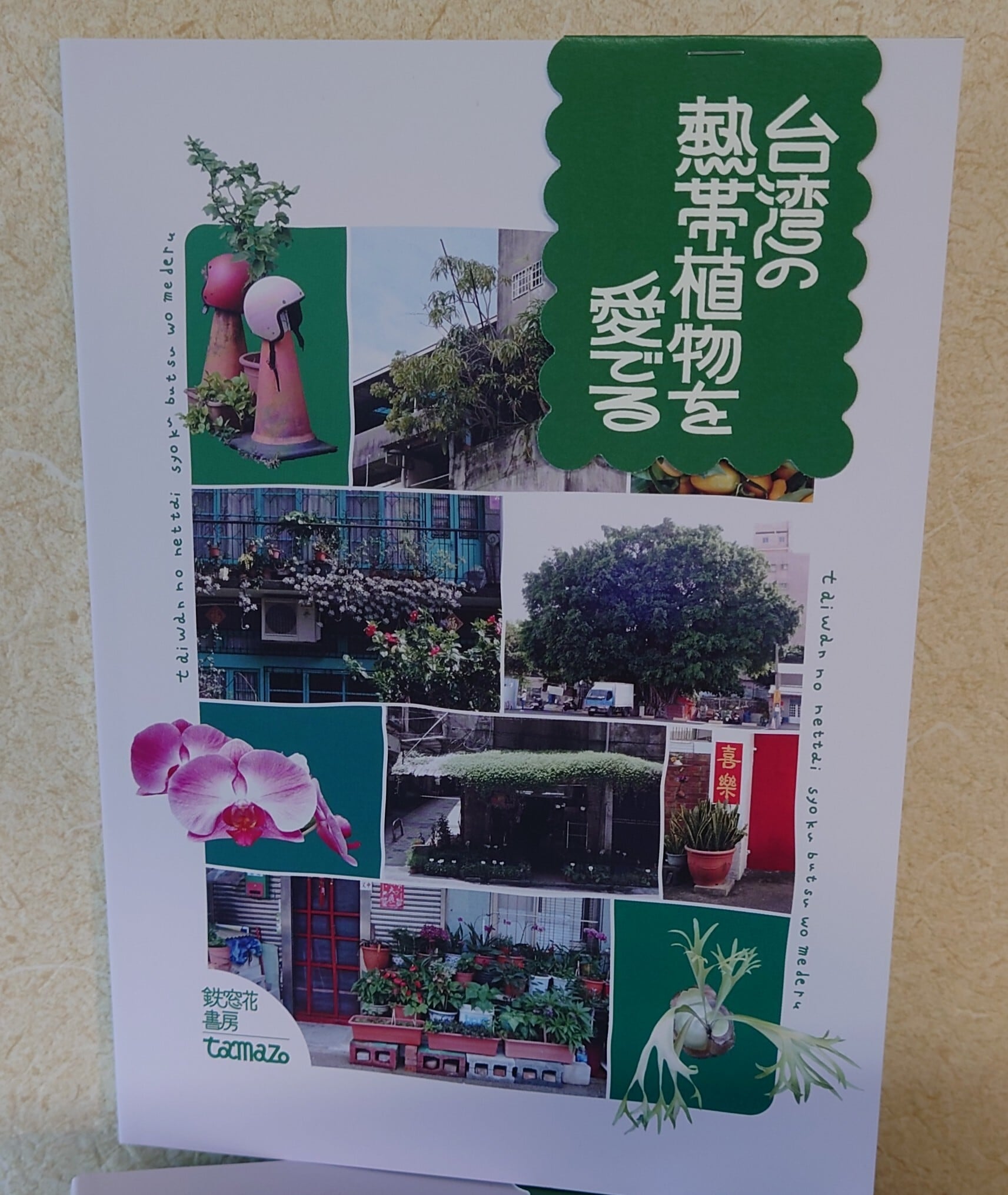 台湾の熱帯植物を愛でる | 弥生坂 緑の本棚