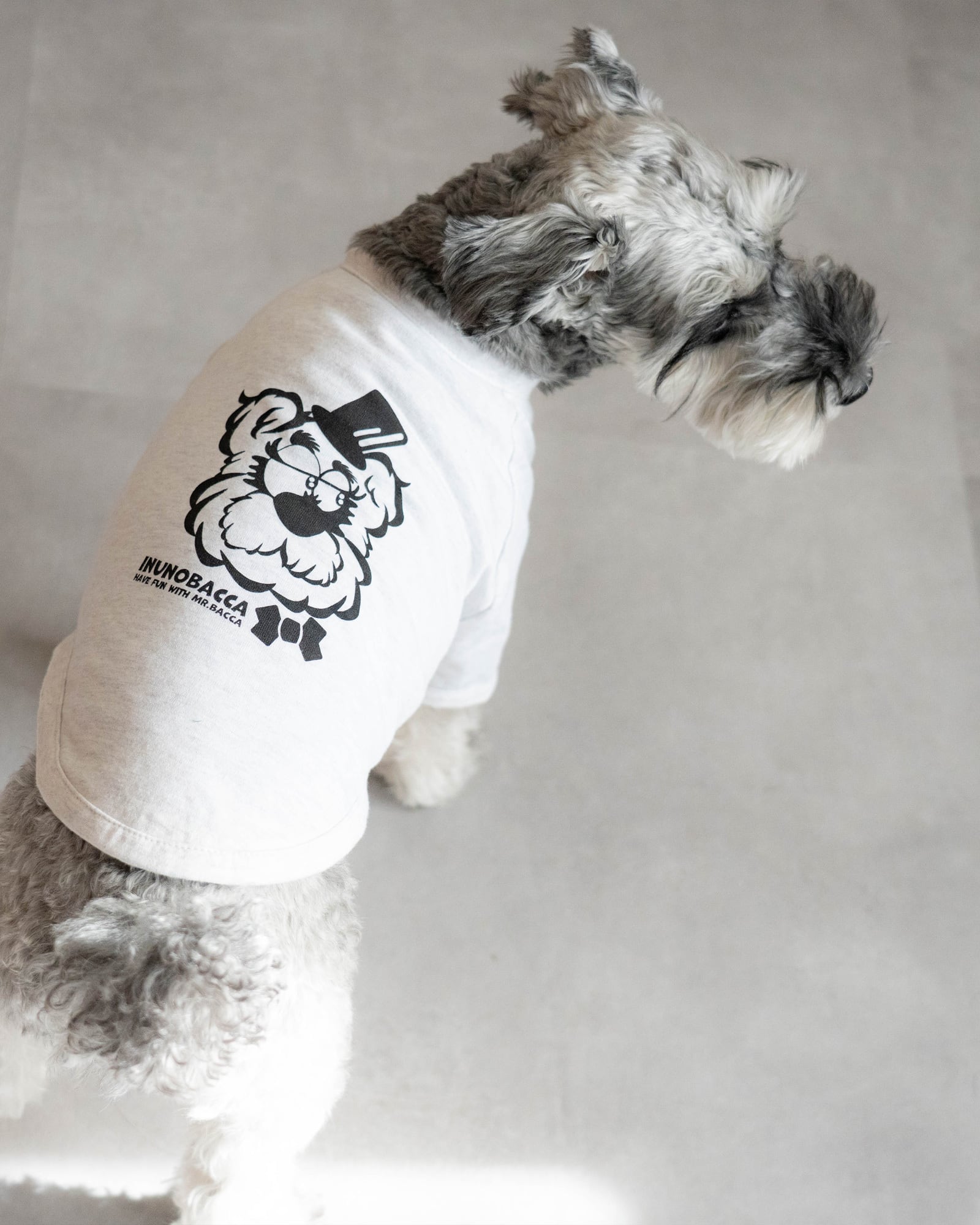 犬服 Tシャツ 「Mr.BACCA」 typeB ｜inunobacca | Inunobacca
