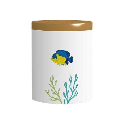 【キャニスター】スミレヤッコ