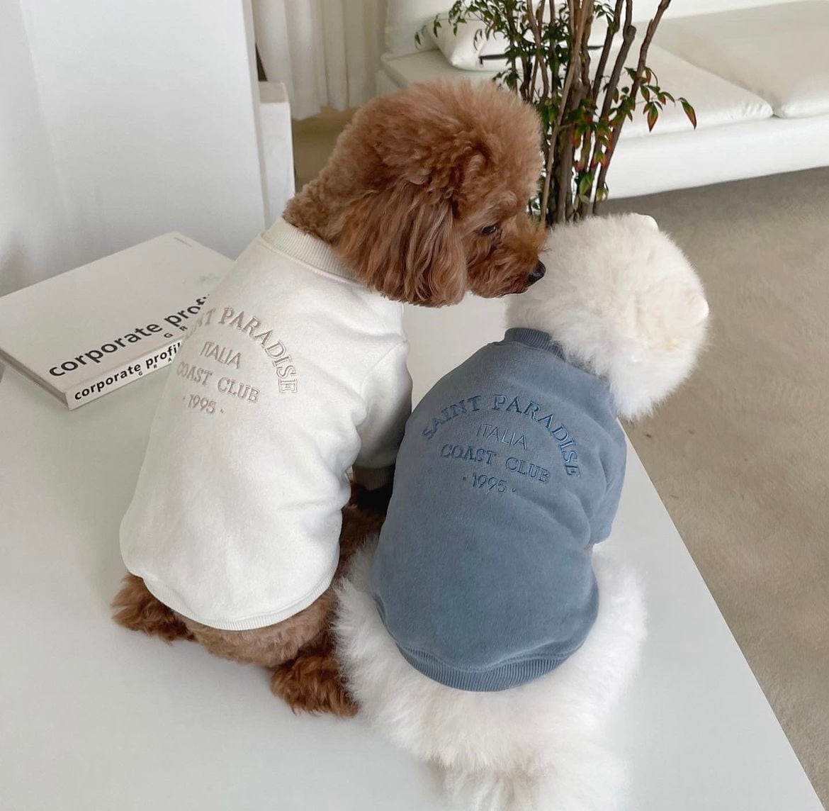 即納】SAINT tops B-closet 韓国ブランド 犬服 韓国 ペット服 ブランド