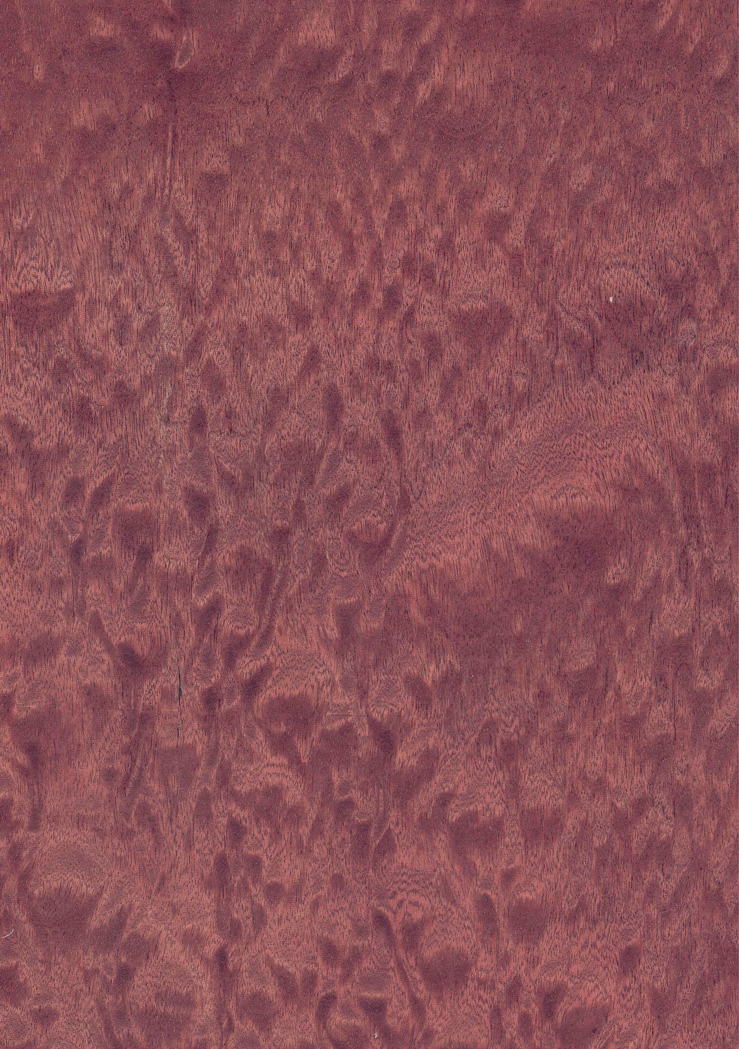 花台、杢目天板 和室天井板2枚 杉赤杢 目透かし 12尺x尺5 2枚 関東間 : こだわりの建材