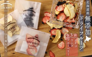 北海道産ドライフルーツ（イチゴ、ブルーベリー、リンゴ）食べきりサイズ