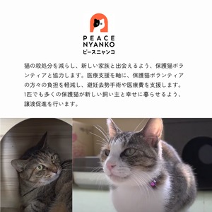 【みんなでつくるシリーズ#04】KIFU COFFEE7