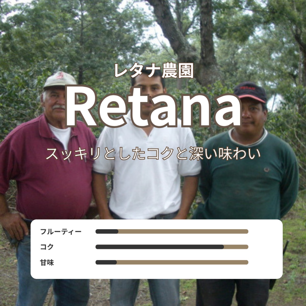 グアテマラ レタナ農園 中深煎り