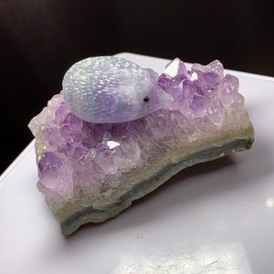 5.ウルグアイ産アメジストクラスターに住み着いているフローライトハリネズミさん