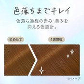 リーゼ ティントカラージェル ミルキーベージュ (191ml) 黒髪用