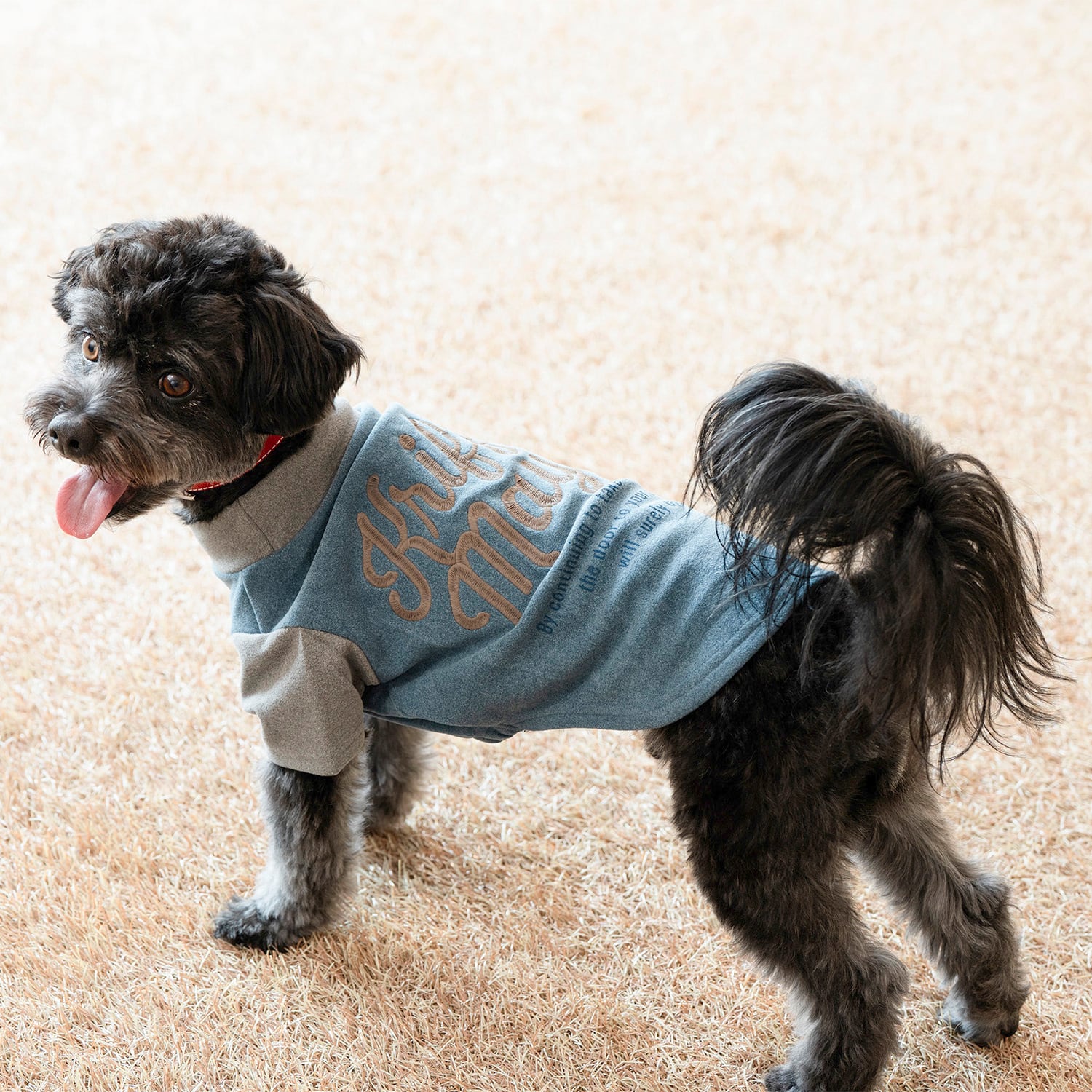 プレゼントCP対象商品】DOGもちのびT（BLUE×GRAY） | 38explore