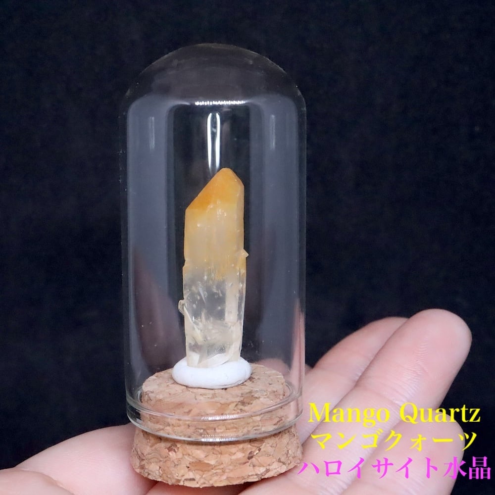 スモーキー クォーツ on 珪化木 煙水晶 236,6gSQZ077原石　天然石 SALE※ スモーキー クォーツ on 珪化木 煙水晶 236,6g SQZ077