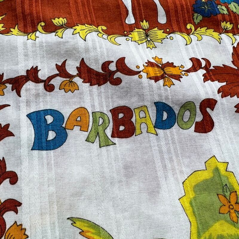 70's~ Bajan カリビアンビーチシャツ スーベニアシャツ BARBADOS
