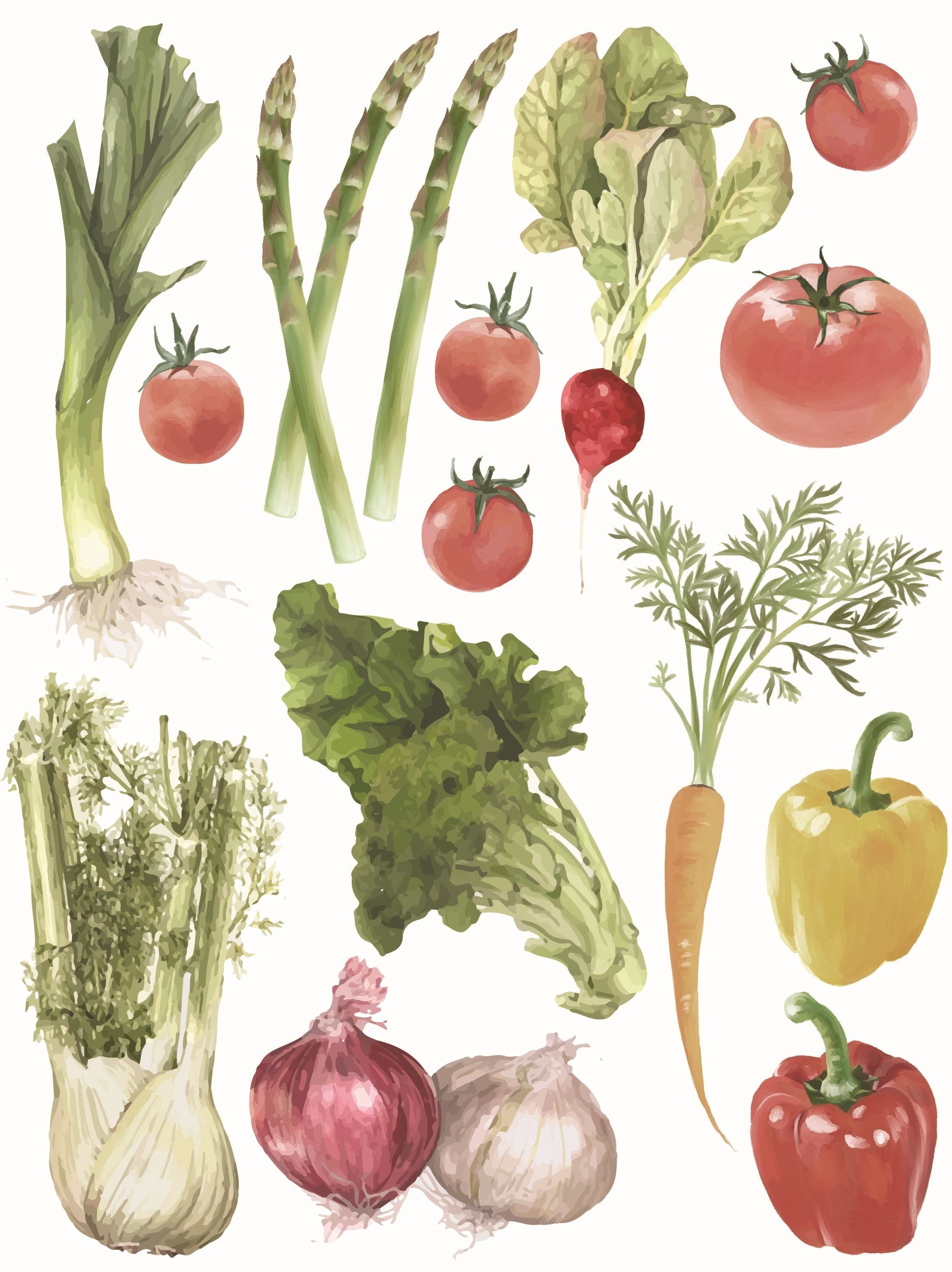 ポーセラーツ転写紙 Vegetables Bigサイズ A4タイプ