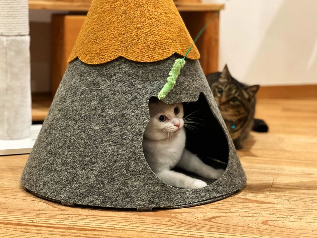 da1c0c42eb31bf57e04e473bef47f2