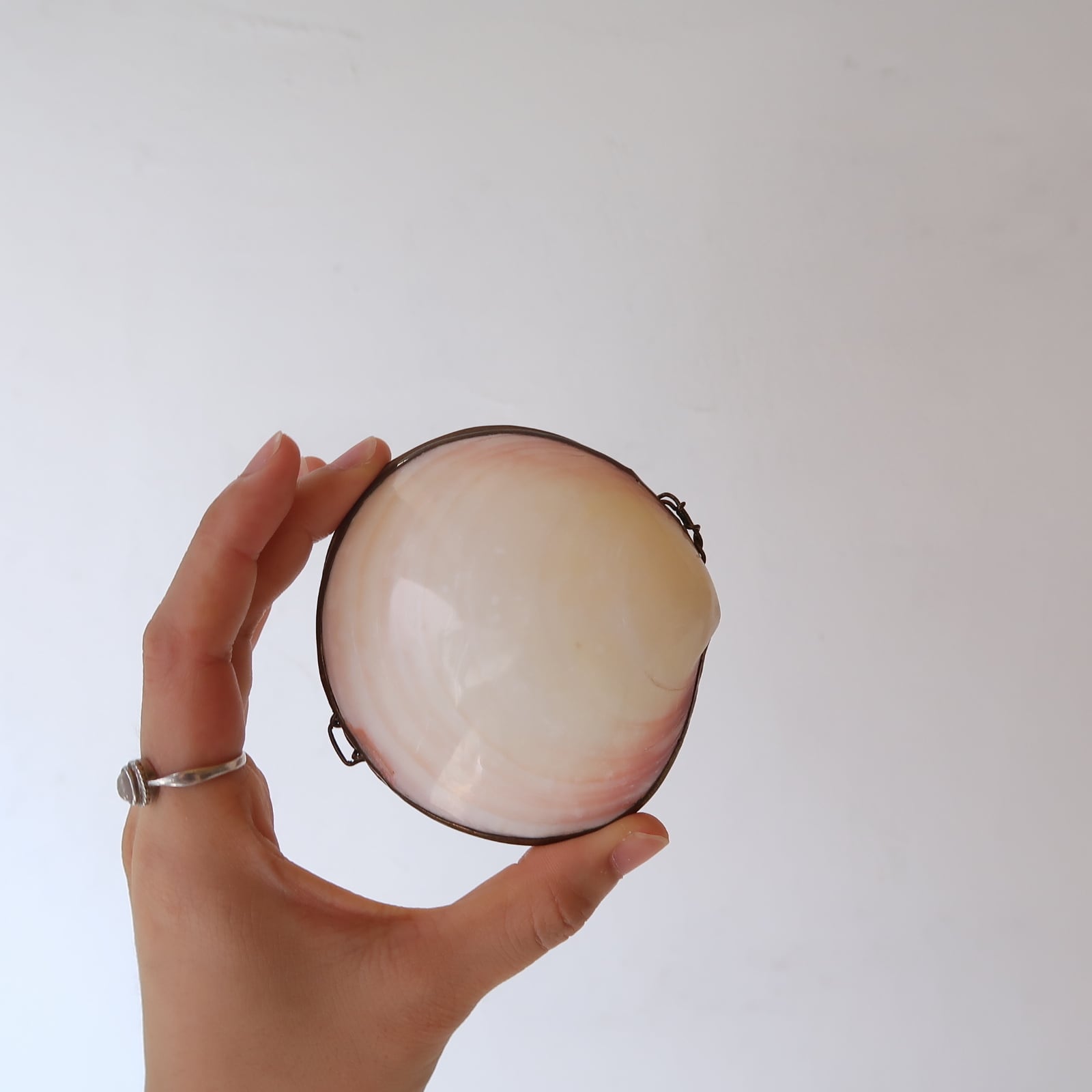 貝殻のアクセサリーケース | SUISUI