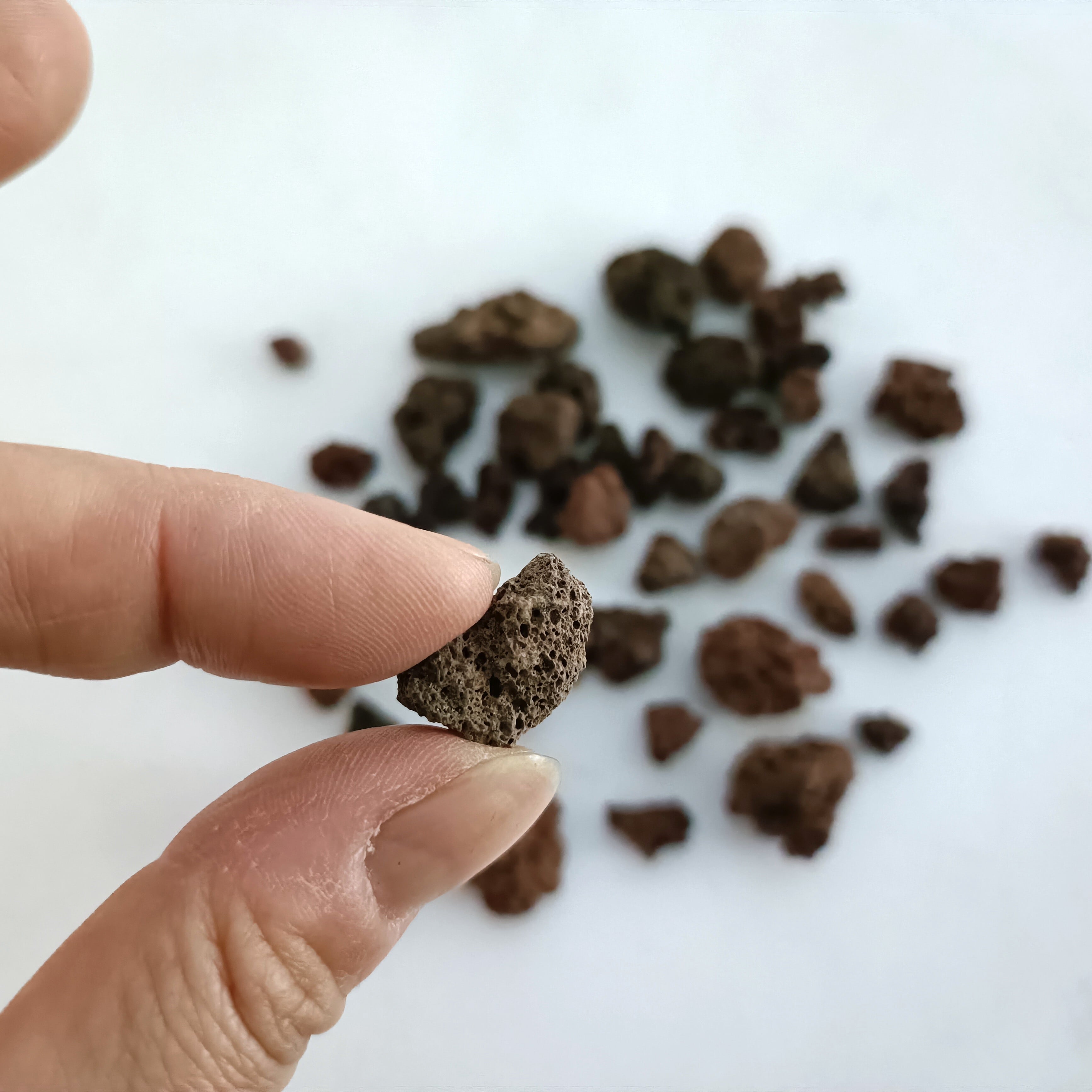 赤色溶岩石 SSサイズ（1〜2㎝）100g【レイアウト用】 | 苔テラリウム