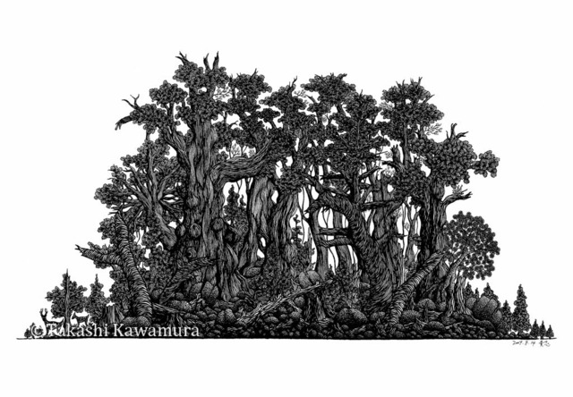 【A４版アートプリント】 屋久島の森