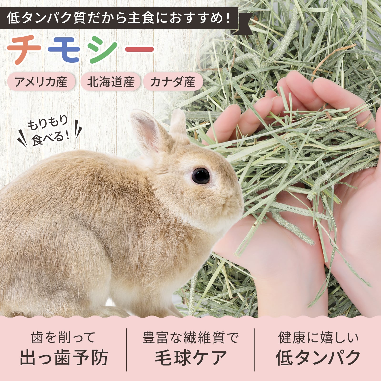 アメリカ産特選プレミアムチモシー1番刈りシングル 10kg | うさぎの