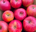 馬糞たい肥で育てたUMAPPLE5kg ※施設