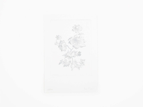 LAURENT GRASSO - FUTURE HERBARIUM (WHITE)