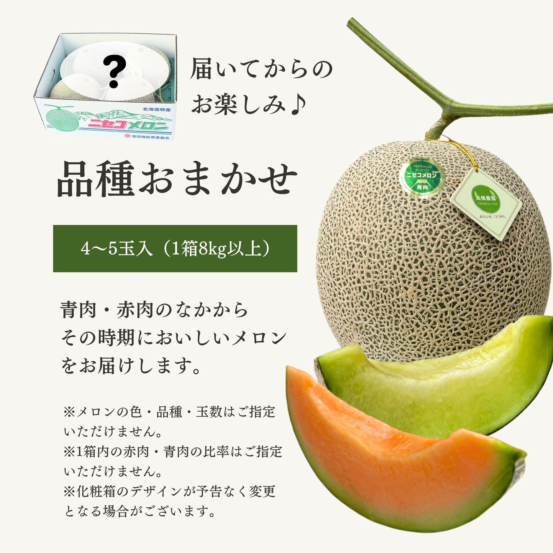 メロン4～5玉＜色おまかせ＞＜7月下旬～9月通常発送＞ | 北海道ニセコ