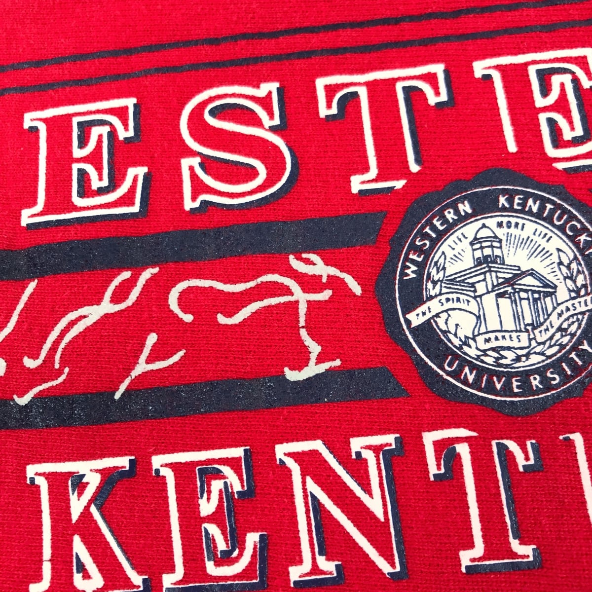 CHAMPION チャンピオン 90年代 USA製 刺繍タグ リバースウィーブ