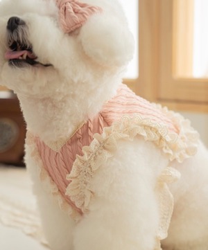 【Dailypetchon】Bongbong Lovely Knit Bustier