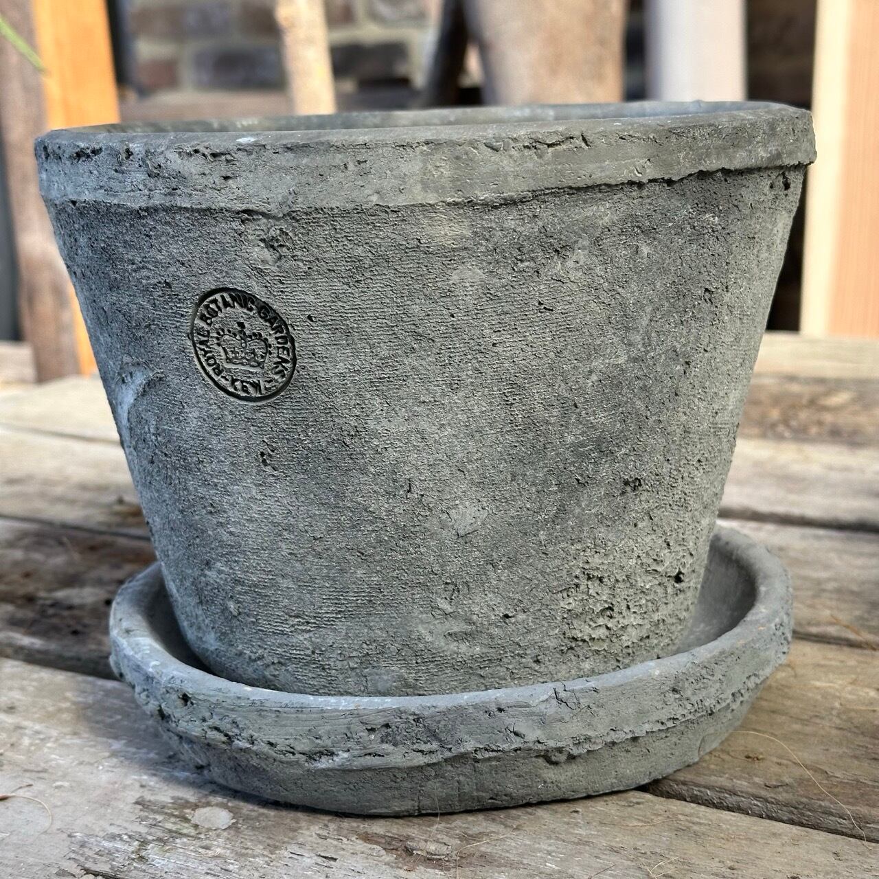 セット⑤, ⑥｜キューガーデンのずっしり鉢にビオラ《 ブラック