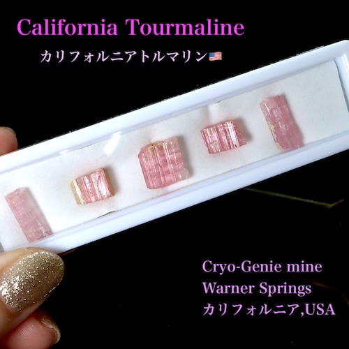 ※SALE※ 【鉱物標本セット】カリフォルニア産 トルマリン 原石セット #10 T414 鉱物 原石 天然石