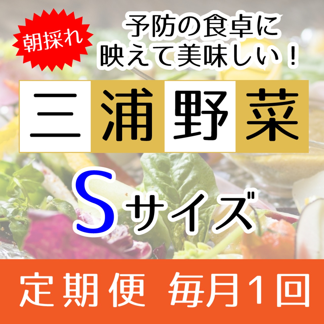 『定期便 毎月1回』【Sサイズ】旬の朝採れ 三浦野菜