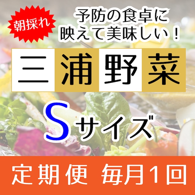 『定期便 毎月1回』【Sサイズ】旬の朝採れ 三浦野菜