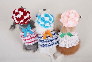 予約【HAPPY JJANGGU】JOYFUL MINI（RED CHECK）