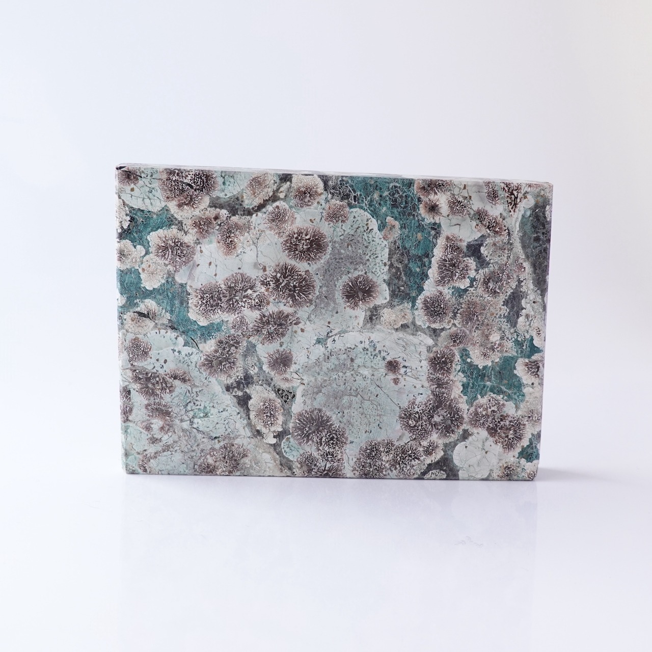 グリーンフラワージャスパー /  スラブ プレート