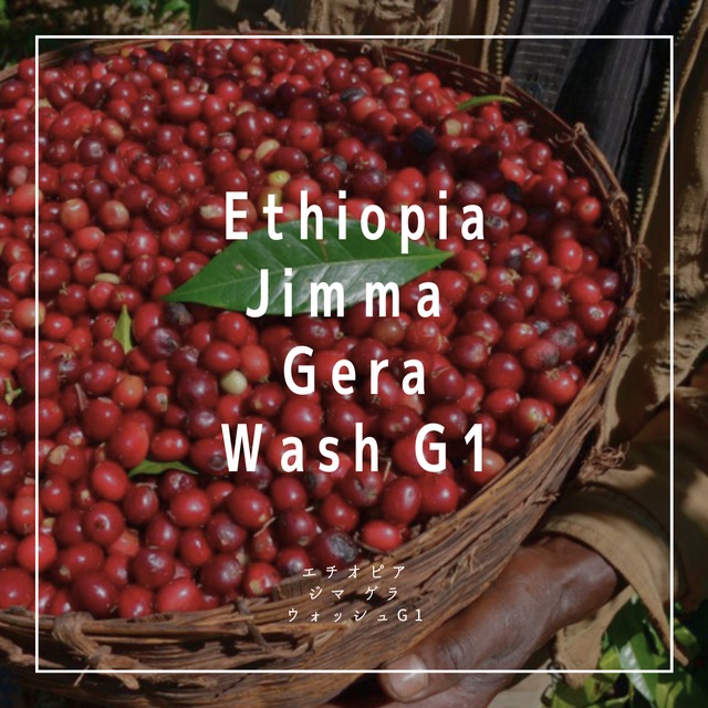 【200g】エチオピア ゲイシャ ジャスミン G1