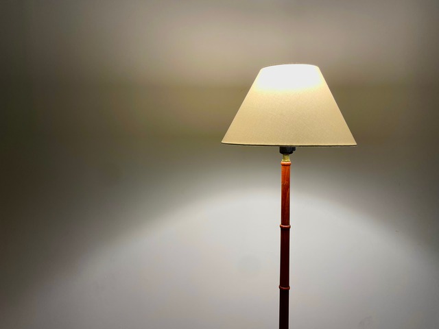 Floor Lamp [Vintage]