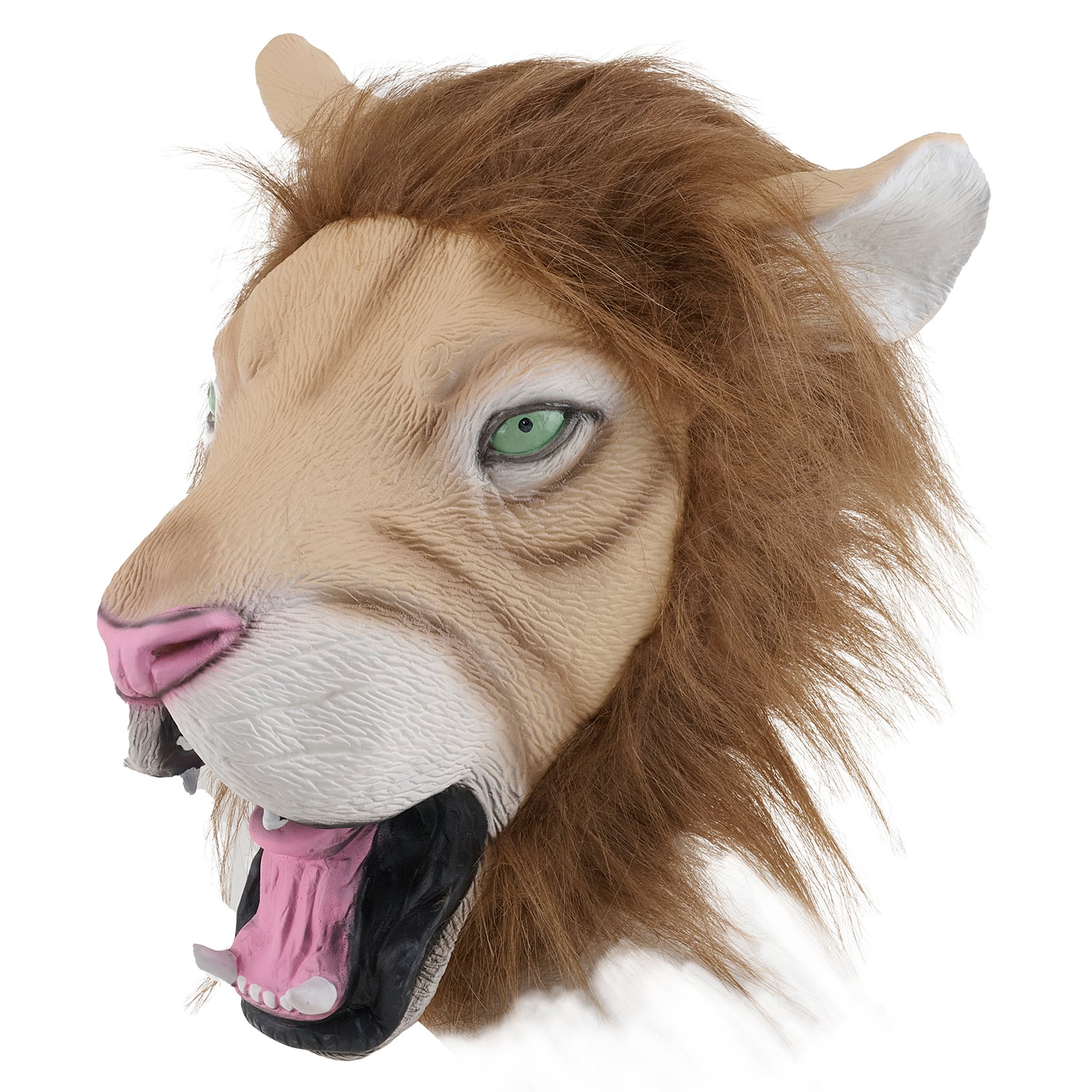 百獣の王ライオン | aico