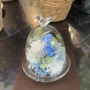 プリザーブドフラワー（Bird glass dome）blue