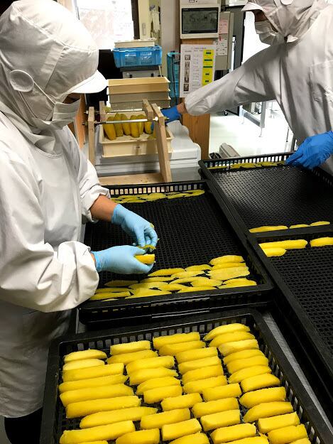 シルクスイート干し芋5個セット | 株式会社 下巣畑農産