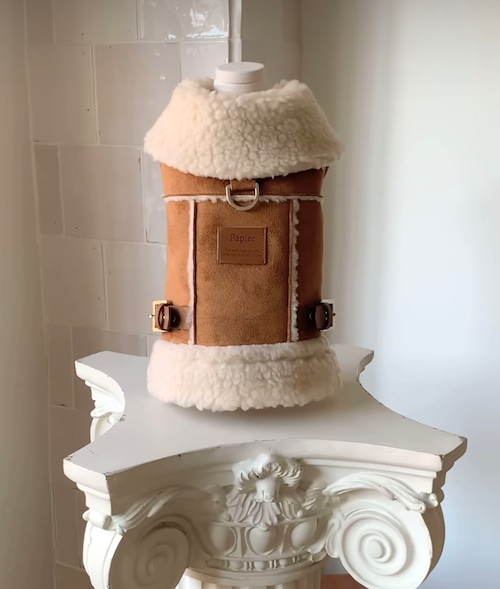 《予約》№PR0006